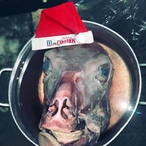 Meet your Posher, Tony